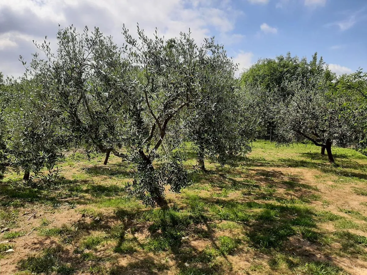La Casetta Di Bianca Riccò del Golfo di Spezia