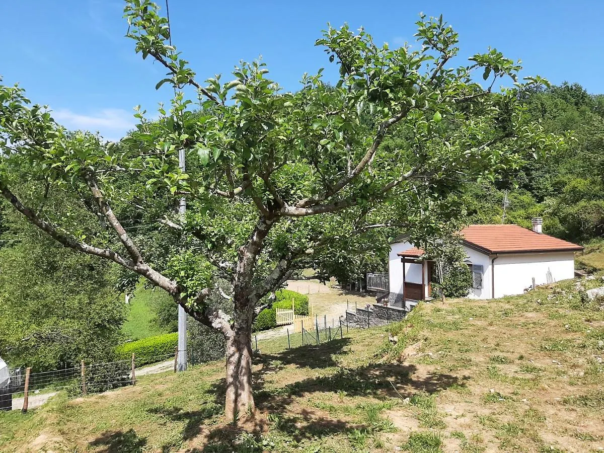Vakantiehuis La Casetta Di Bianca Riccò del Golfo di Spezia
