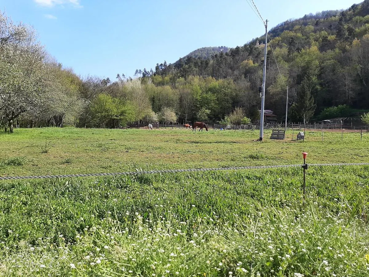 Ferienhaus La Casetta Di Bianca Riccò del Golfo di Spezia Italien