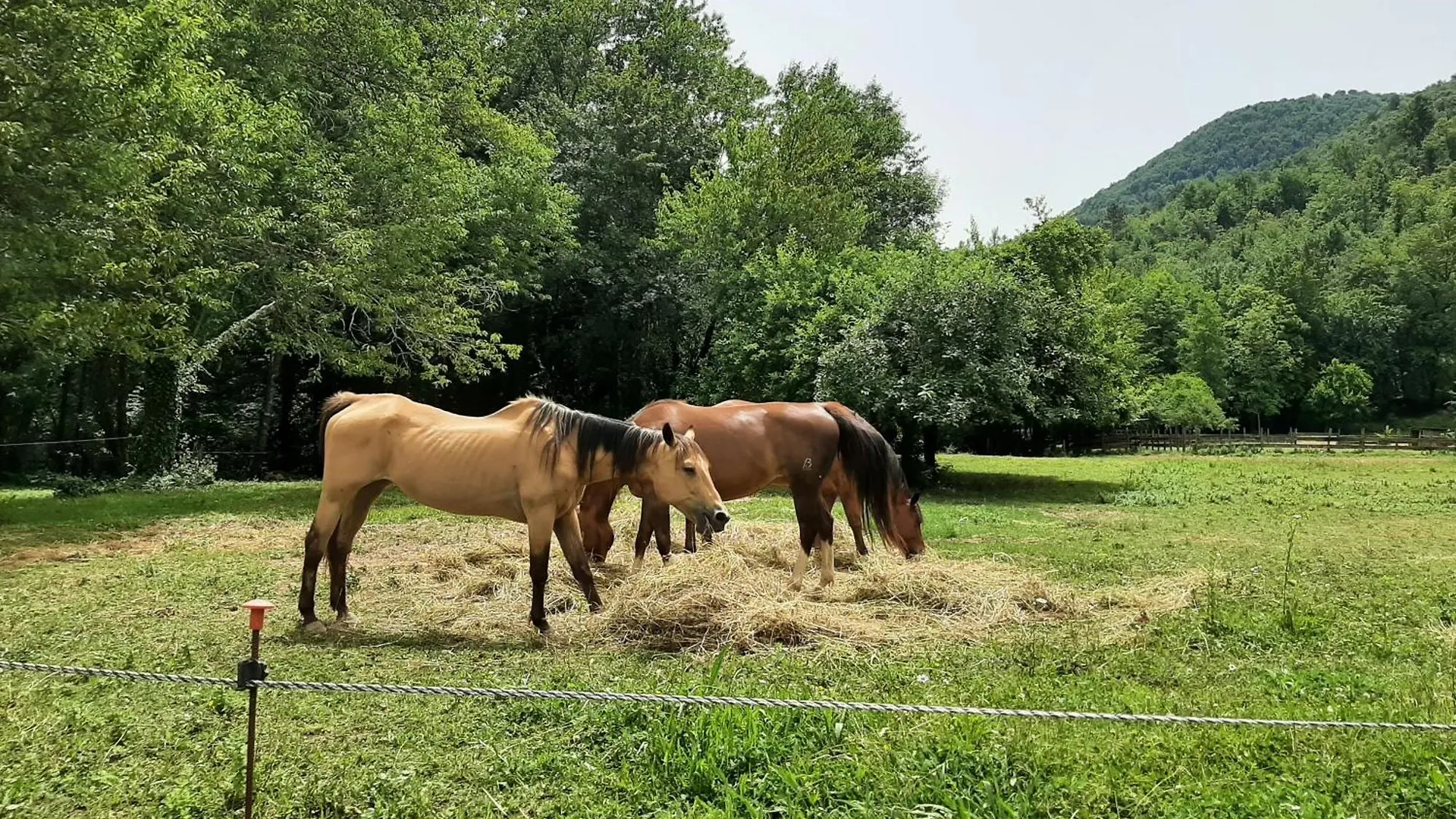 La Casetta Di Bianca Riccò del Golfo di Spezia Ferienhaus
